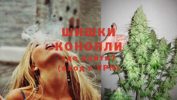 mdpv Козловка