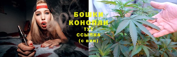 mdpv Козловка